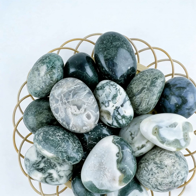 Echeveria Succulent - Natural Moss Agate Crushed Stone50-100GCrystal Raw