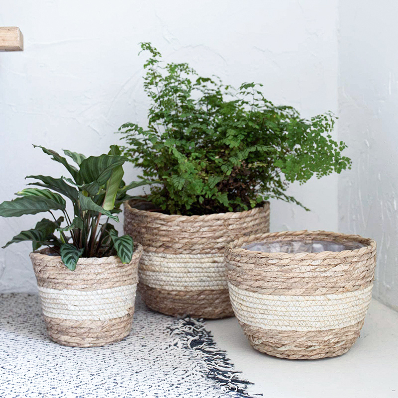 Aloe Vera Pot - Seagrass Planter Basket Flower Pots Cover