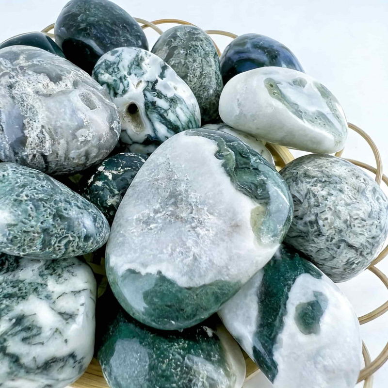 Natural Moss Agate Crushed Sto - đánh giá và giá Echeveria Succulent