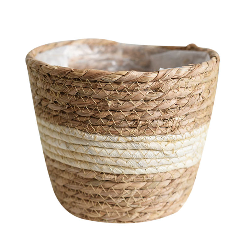 Seagrass Planter Basket Flower - đánh giá và giá Aloe Vera Pot