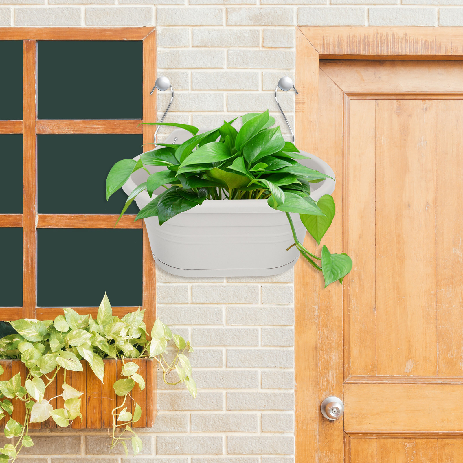 1Set Wall Hanging Flower Pot S - đánh giá và giá Spider Plant Hanging