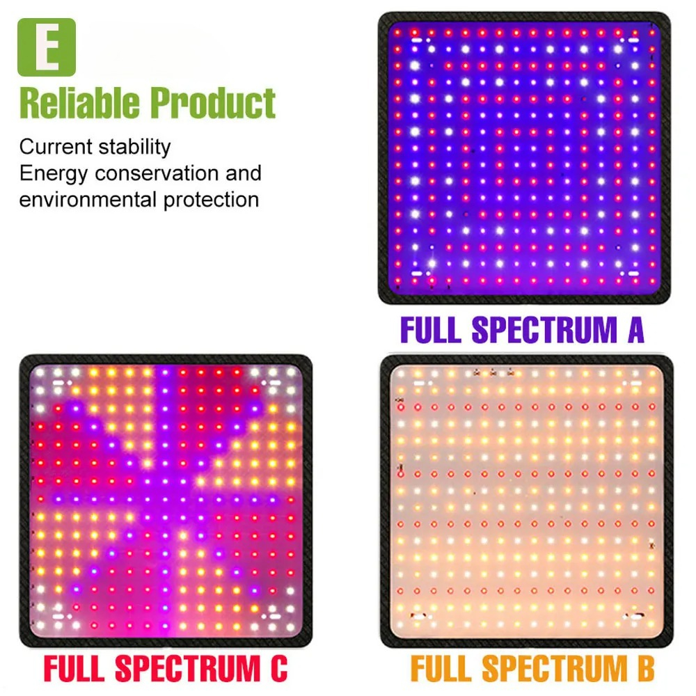 400W LED Grow Light Full Spect - đánh giá và giá Echeveria Succulent