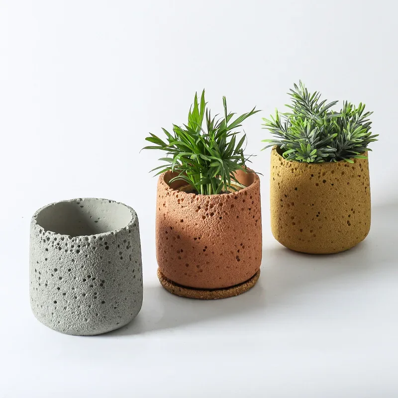 Nordic cement flowerpot simple - đánh giá và giá Echeveria Succulent