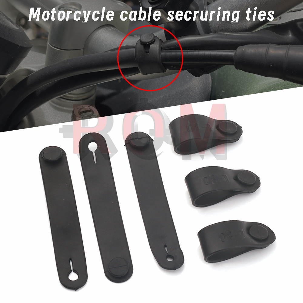 For Ducati Monster Multistrada - đánh giá và giá Monstera Adansonii