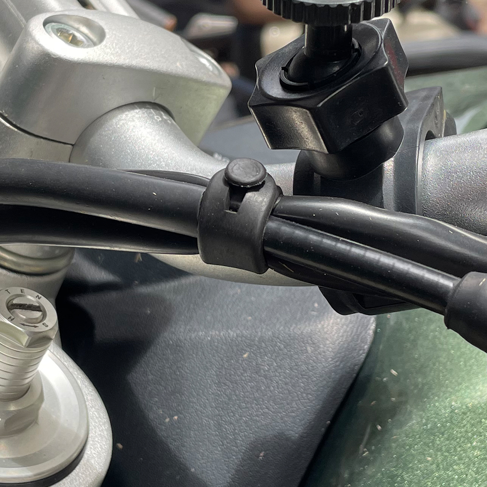 For Ducati Monster Multistrada - đánh giá và giá Monstera Adansonii