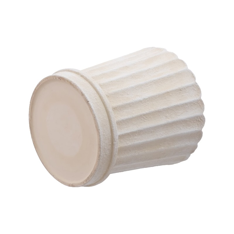 8 Inch Shell Planter Cream Cer - đánh giá và giá Aloe Vera Pot