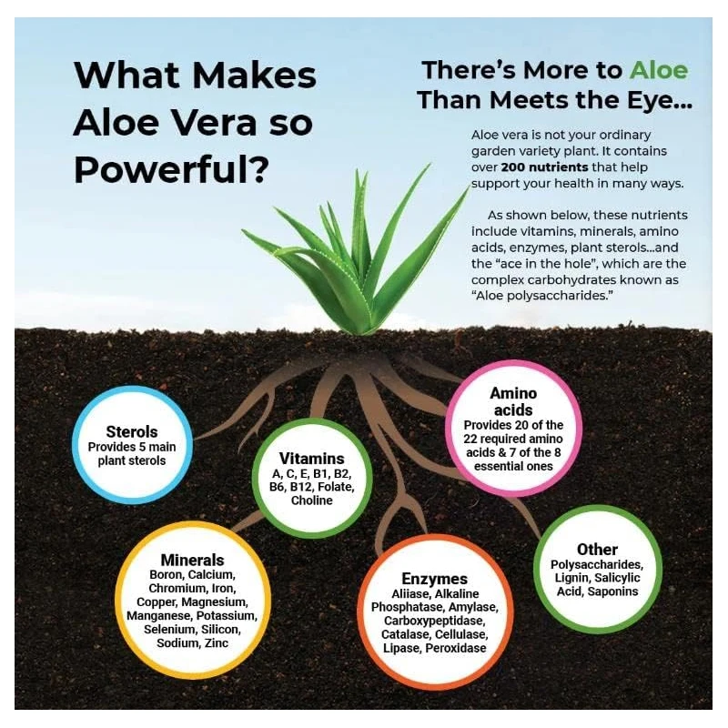 Aloe Vera Capsules - Help Prom - đánh giá và giá Aloe Vera Pot