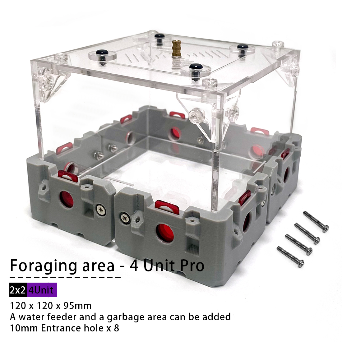 【Lego】Expandable Modular Formi - đánh giá và giá Begonia Rex