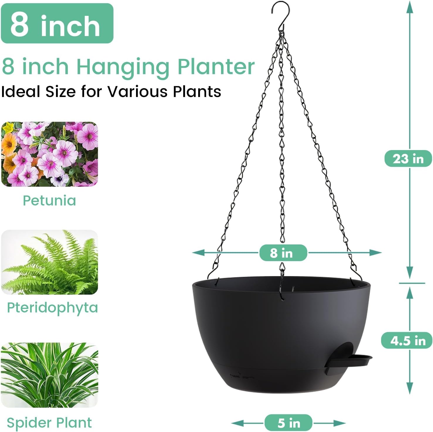 8 Inch Self Watering Hanging P - đánh giá và giá Spider Plant Hanging
