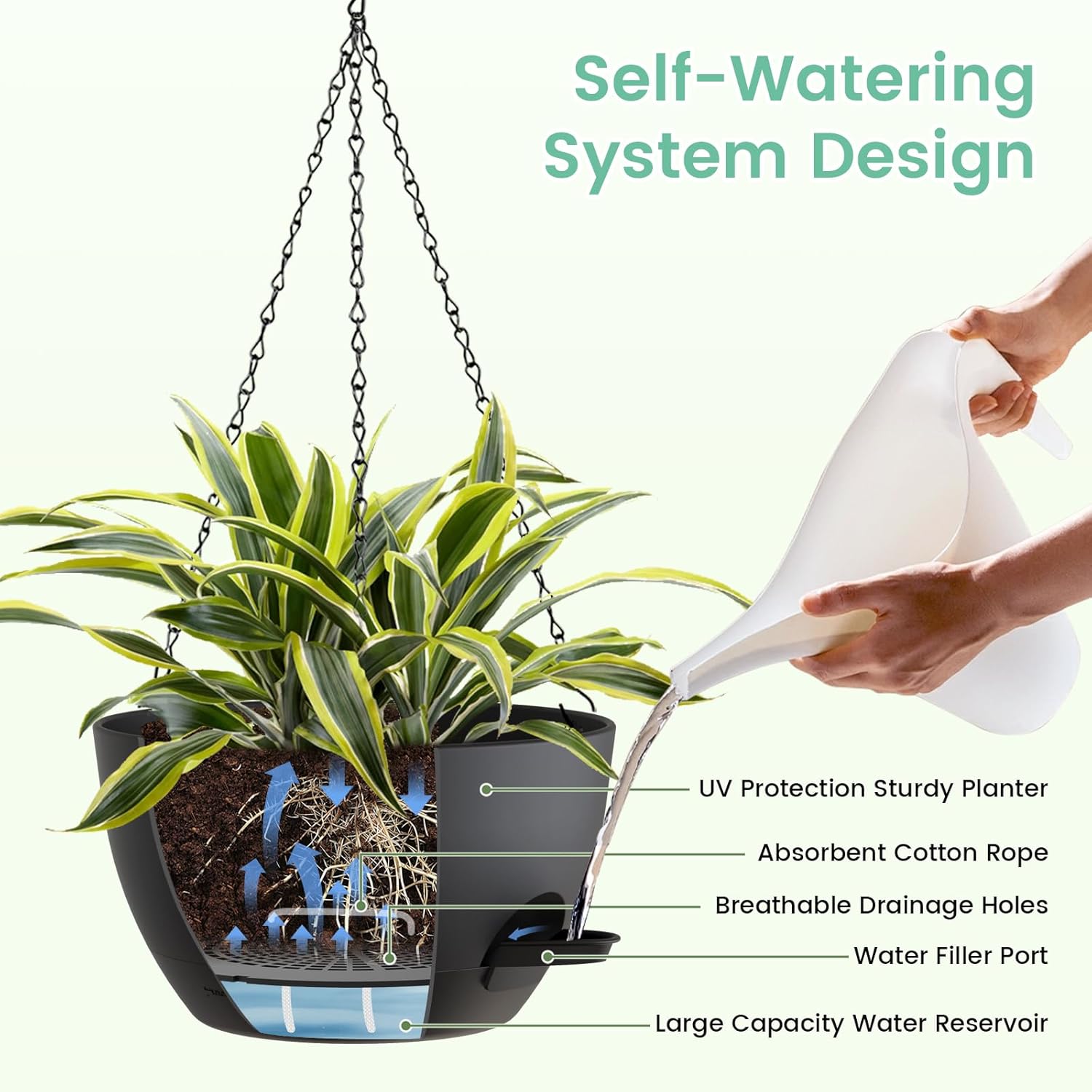 8 Inch Self Watering Hanging P - đánh giá và giá Spider Plant Hanging