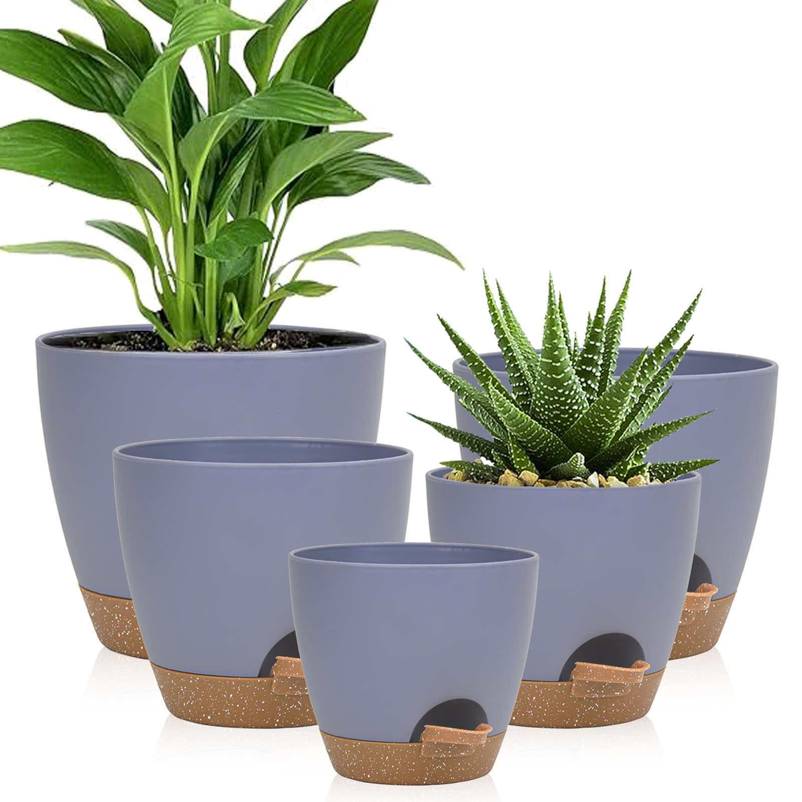 5piece Indoor Flower Pots With - đánh giá và giá Aloe Vera Pot