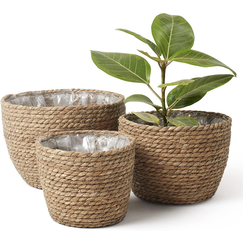 Natural Woven Flower Basket St - đánh giá và giá Aloe Vera Pot