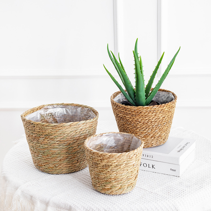 Natural Woven Flower Basket St - đánh giá và giá Aloe Vera Pot