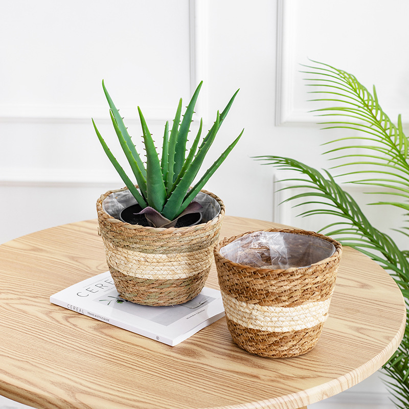 Natural Woven Flower Basket St - đánh giá và giá Aloe Vera Pot