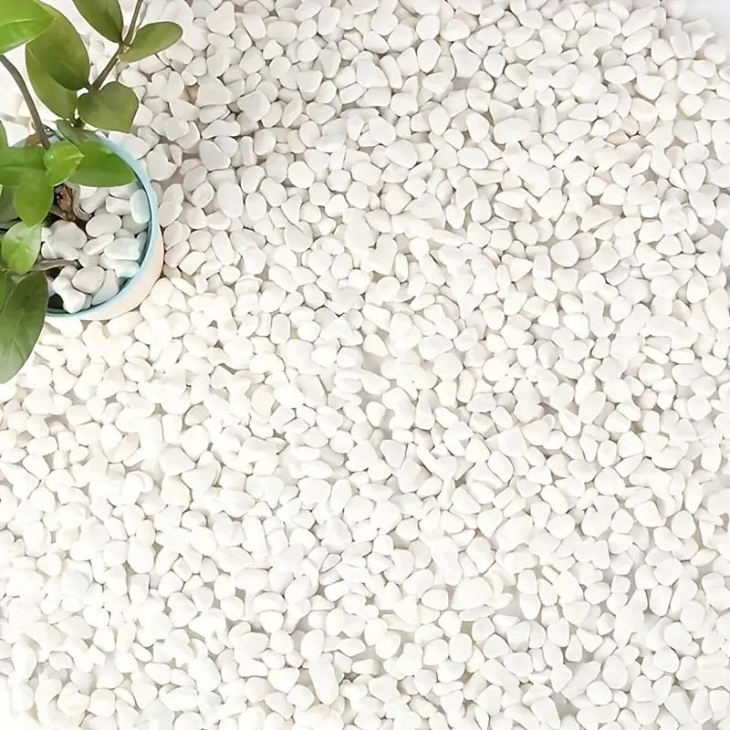 White Pebbles Decorative Stone - đánh giá và giá Echeveria Succulent