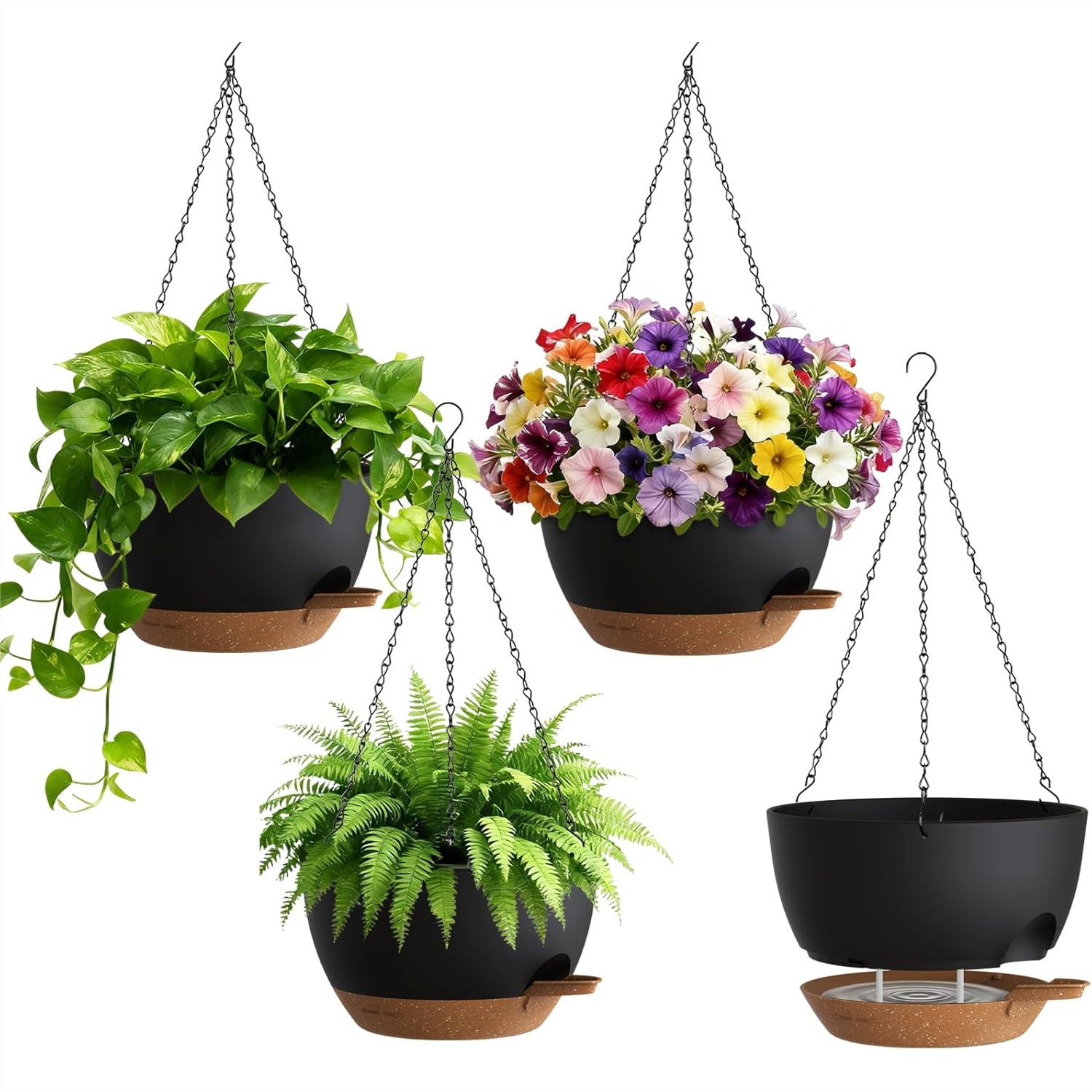 Self Watering Hanging Planters - đánh giá và giá Spider Plant Hanging