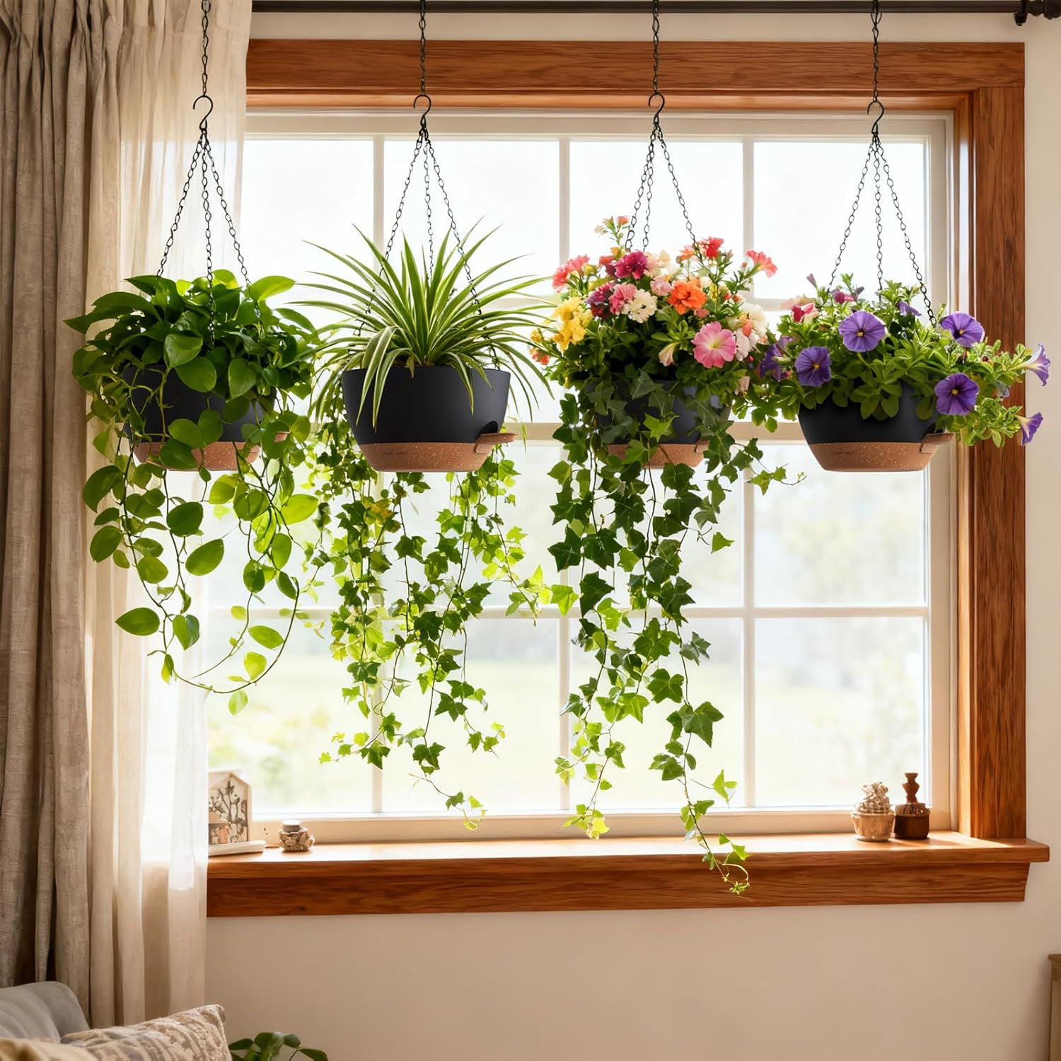 Self Watering Hanging Planters - đánh giá và giá Spider Plant Hanging