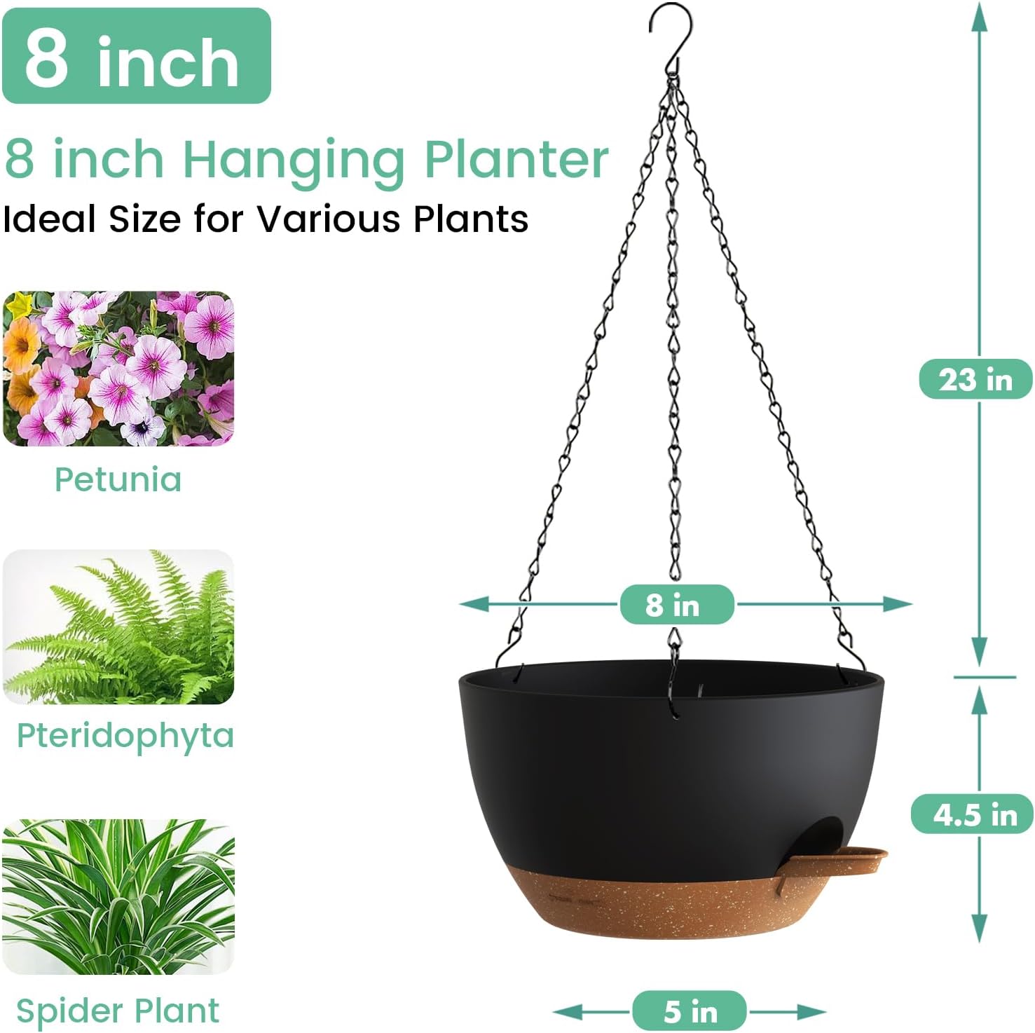Self Watering Hanging Planters - đánh giá và giá Spider Plant Hanging