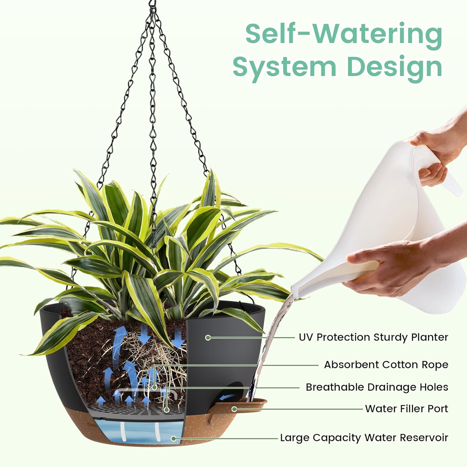 Self Watering Hanging Planters - đánh giá và giá Spider Plant Hanging
