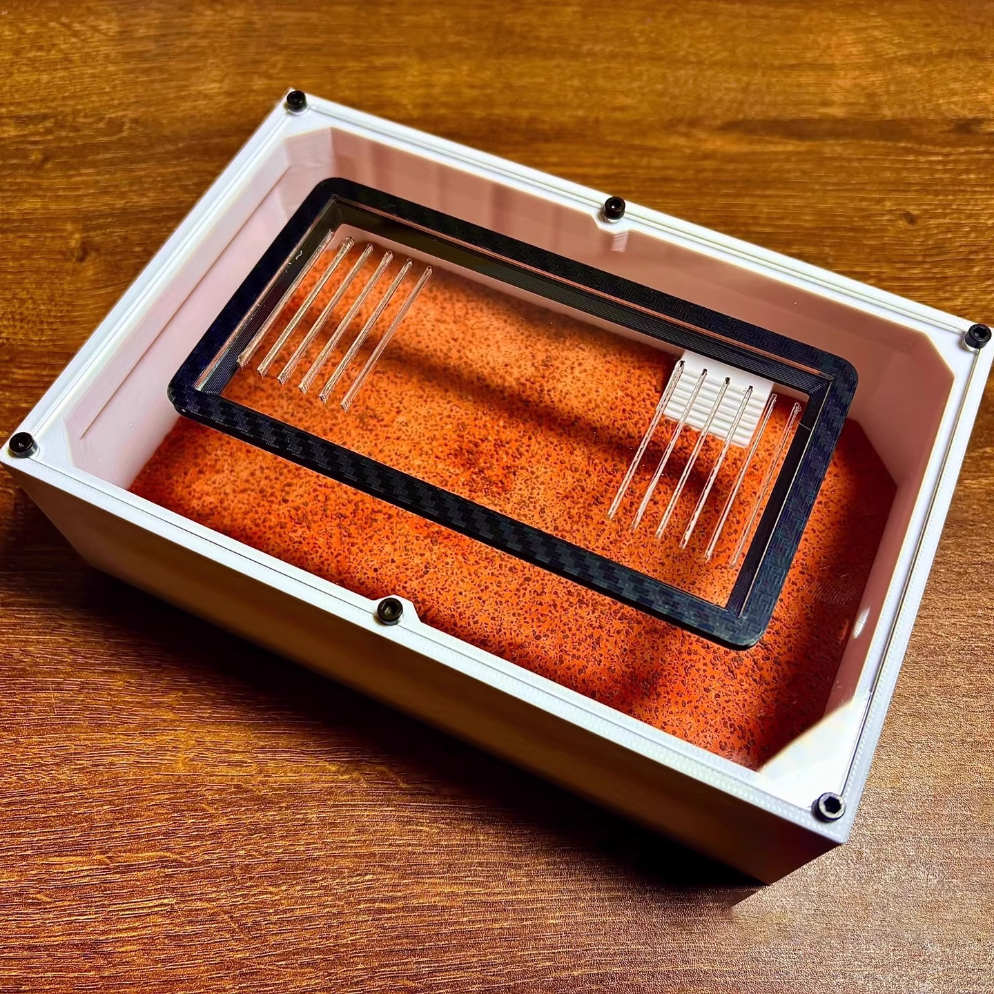 Ant Farm mini CC with External - đánh giá và giá Begonia Rex