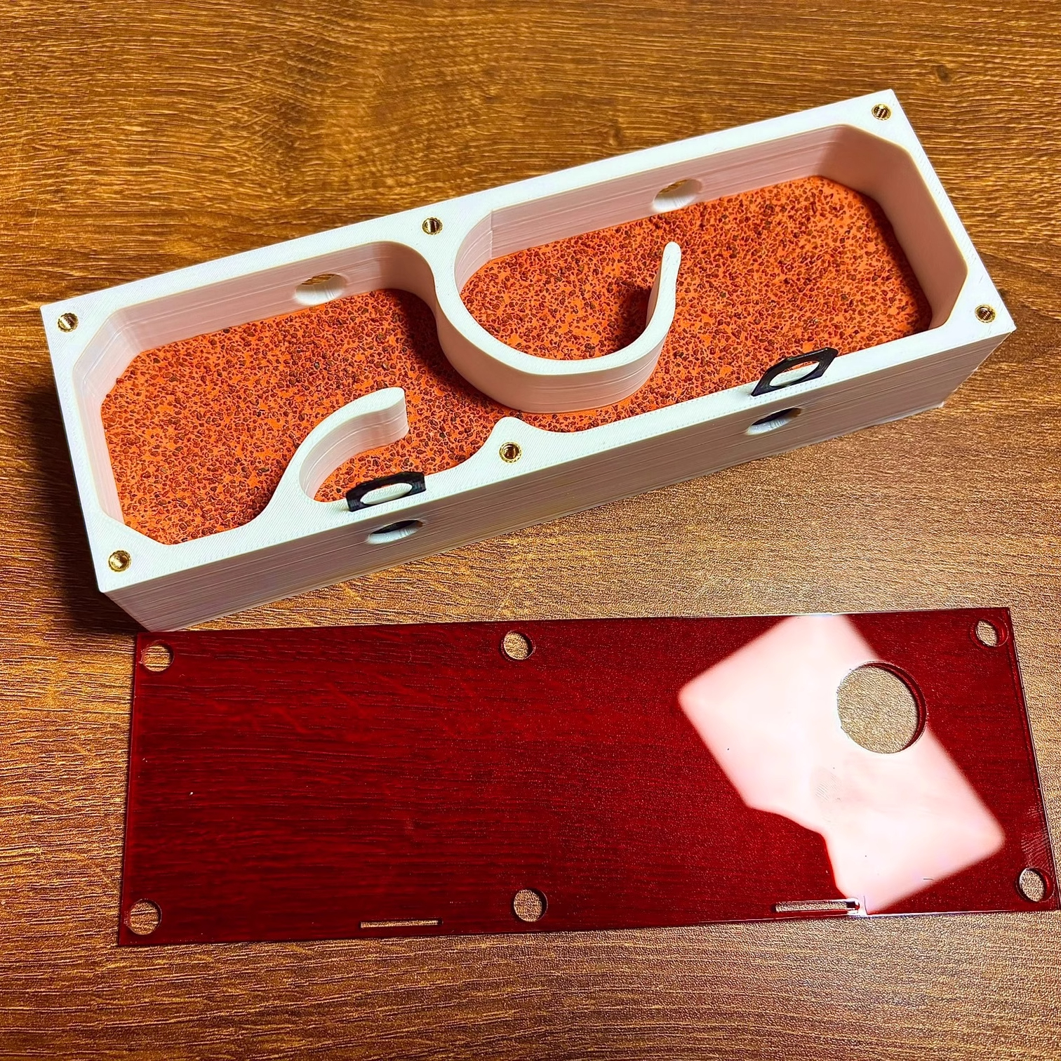 Ant Farm mini CC with External - đánh giá và giá Begonia Rex