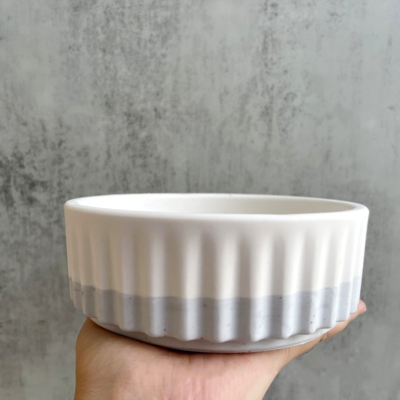 Stripe Flowerpot Silicone Mold - đánh giá và giá Echeveria Succulent