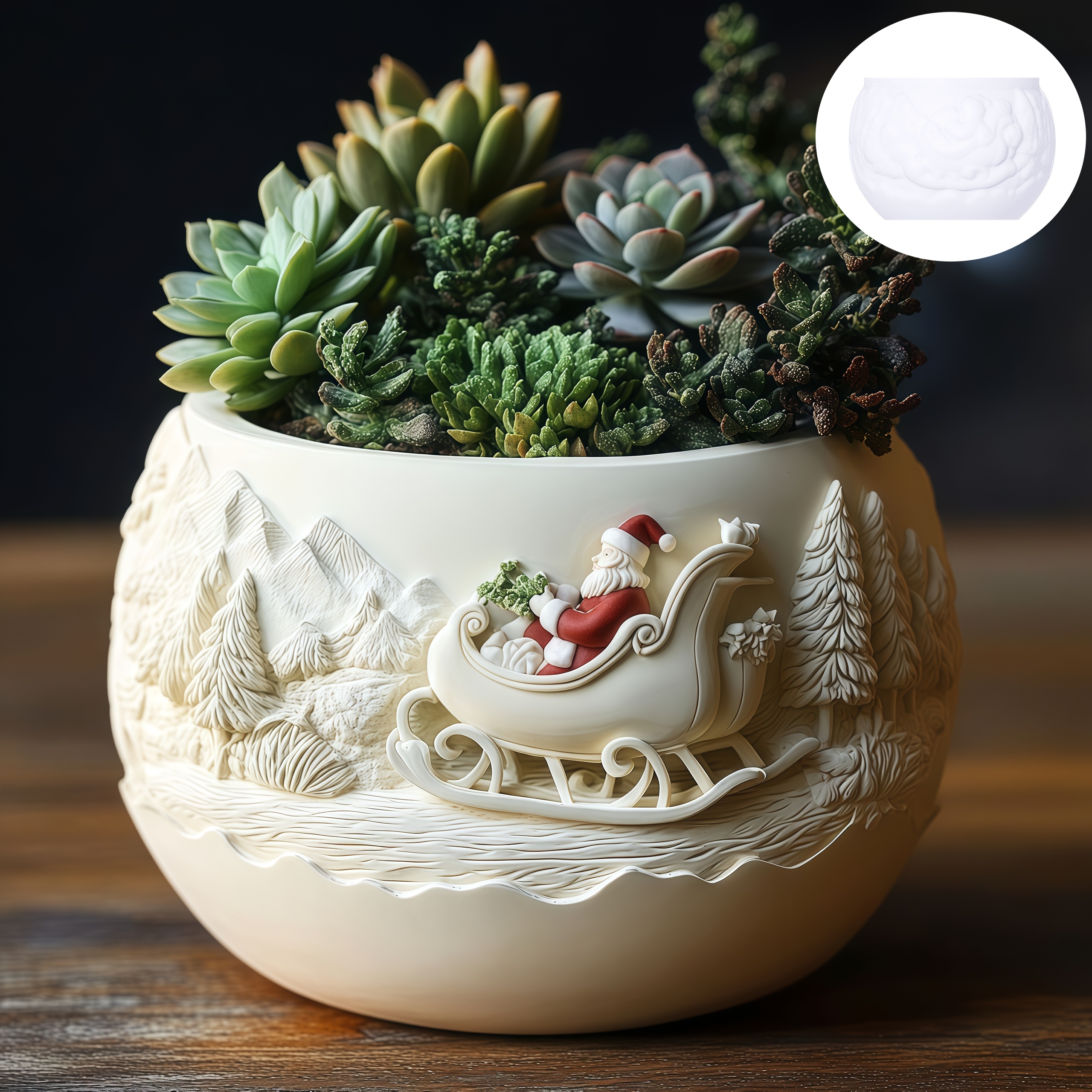 Cedar Sled Santa Claus Relief  - đánh giá và giá Echeveria Succulent