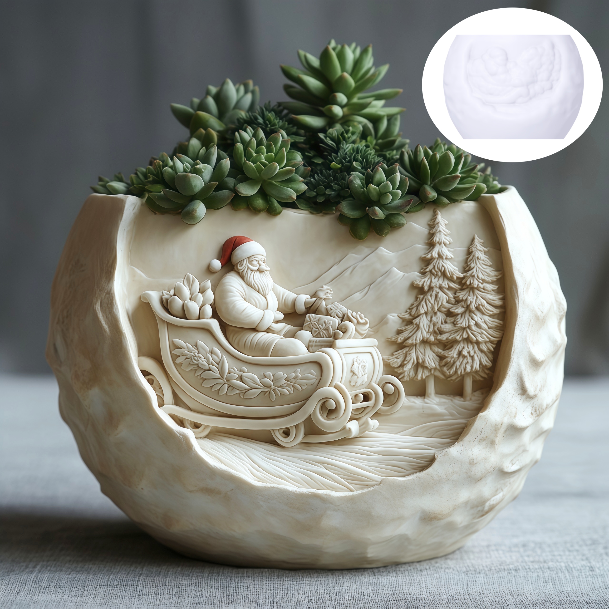 Cedar Sled Santa Claus Relief  - đánh giá và giá Echeveria Succulent