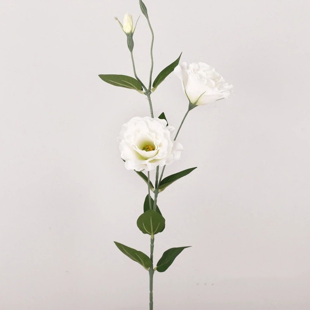 Platycodon Flower Artificial B - đánh giá và giá Ficus Lyrata Tree