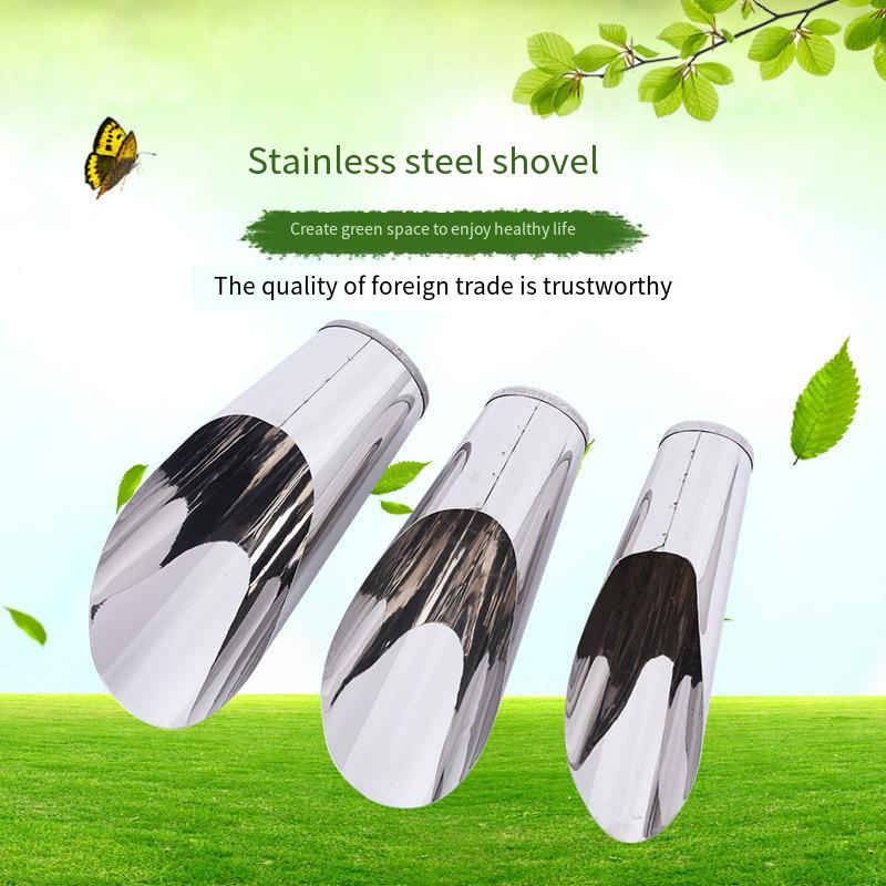 Stainless Steel Bucket Shovel  - đánh giá và giá Echeveria Succulent