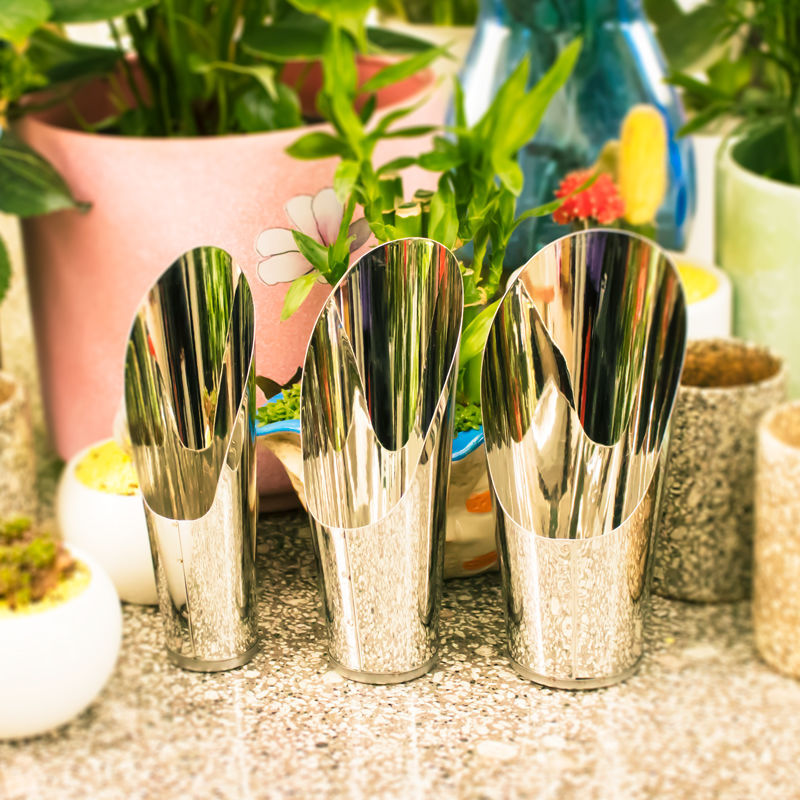 Stainless Steel Bucket Shovel  - đánh giá và giá Echeveria Succulent