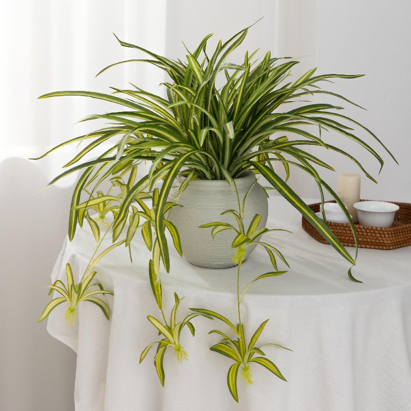 Artificial Spider Plant Chloro - đánh giá và giá Spider Plant Hanging