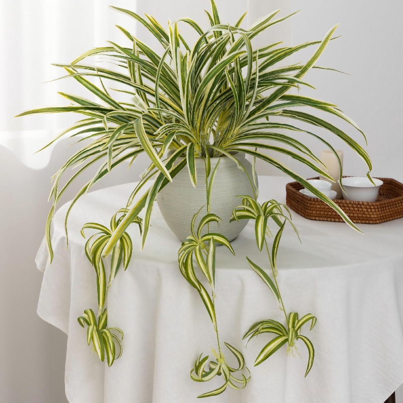 Artificial Spider Plant Chloro - đánh giá và giá Spider Plant Hanging