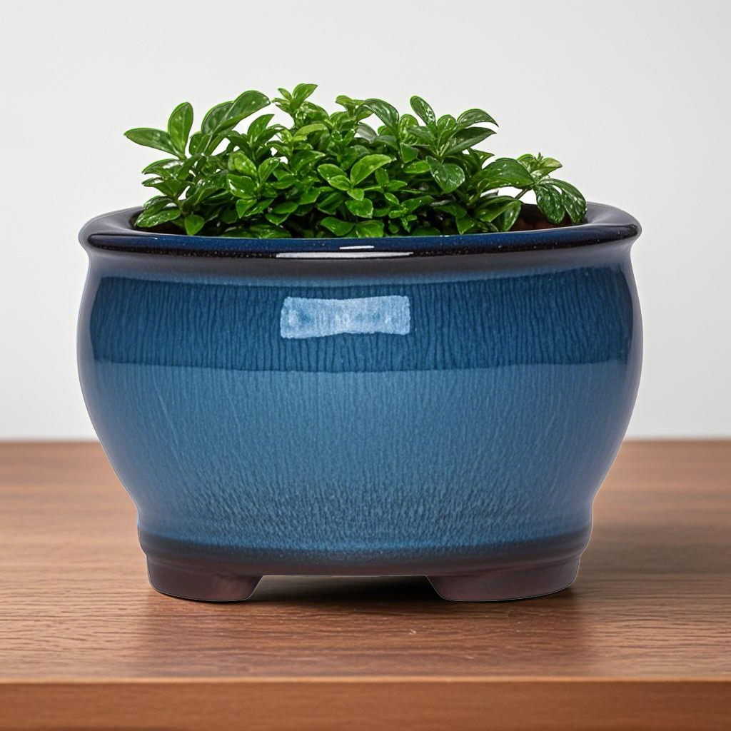 Ceramic Garden Planter Pots Ce - đánh giá và giá Aloe Vera Pot