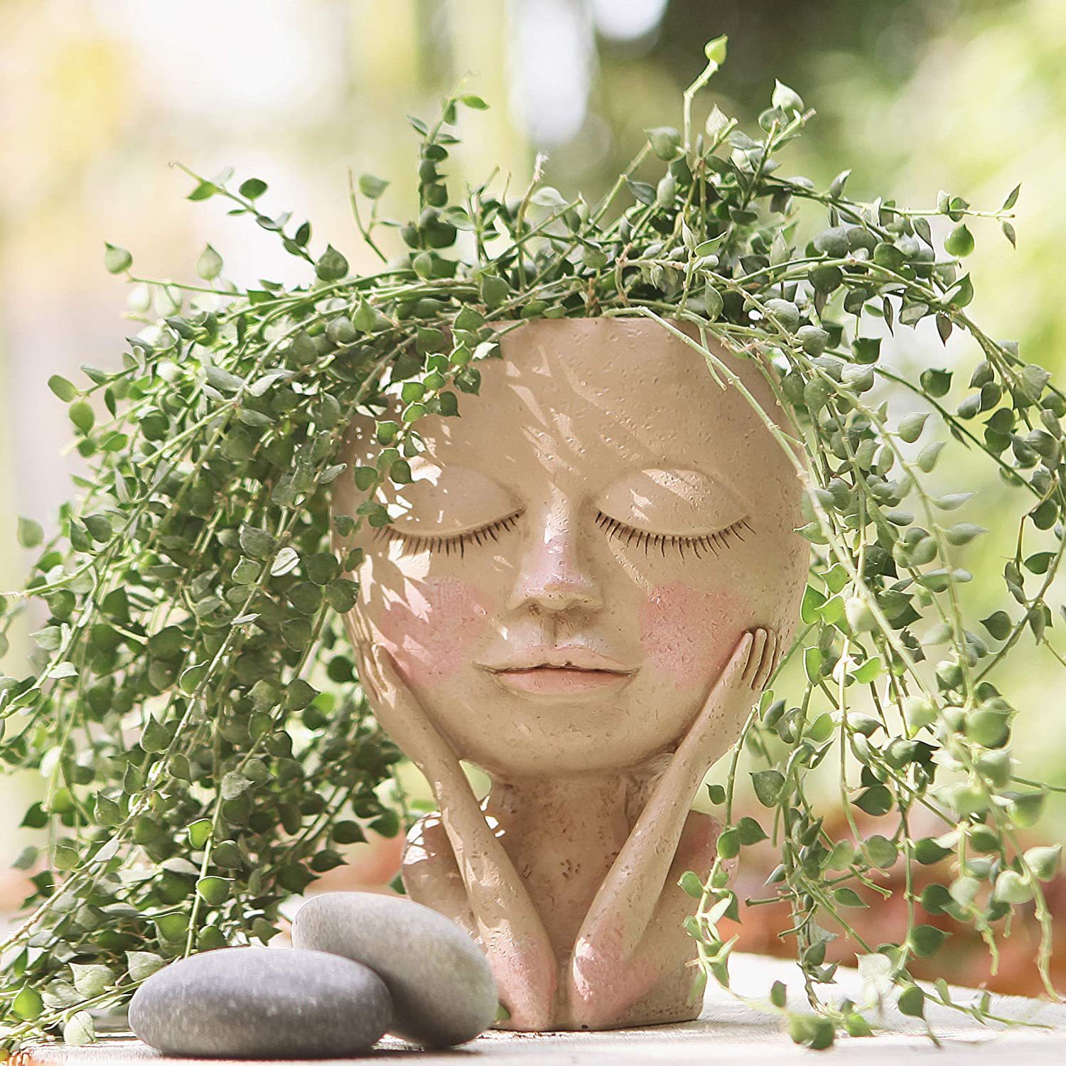 Girls Face Head Flower Planter - đánh giá và giá Echeveria Succulent
