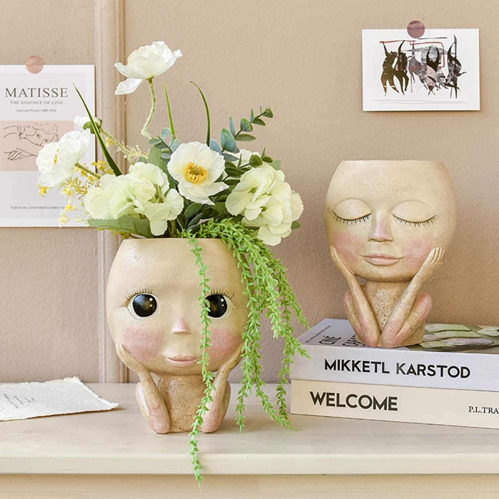 Girls Face Head Flower Planter - đánh giá và giá Echeveria Succulent